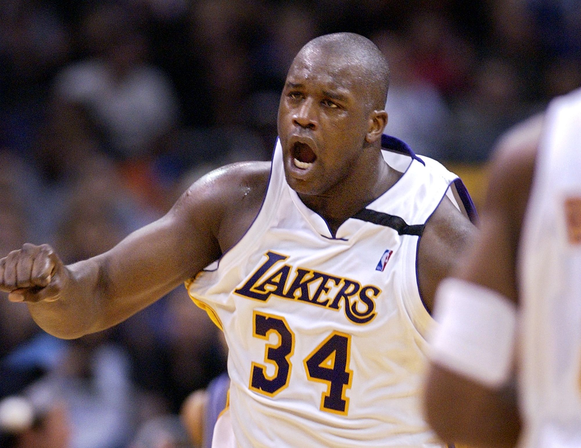 这对搭档在 这对搭档在